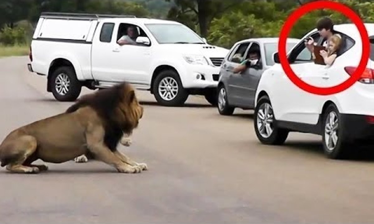 World most Shocking Video