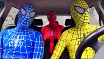 Spiderman Dancing in a Car w Blue Spiderman & Spidergirl in Real Life Fun Superheroes Movie