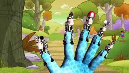 Finger Family Rhymes Zebra Cartoons for Children | Finger Family Children Nursery Rhymes for Kids 3D