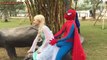 27 Spiderman Flies! Joker Balloon prank w Frozen Elsa, Pink Spidergirl video fun superhero!