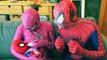 SPIDERMAN, SPIDERBABY & PINK SPIDERGIRL w/ HULK BABY in Real Life - Fun Superhero Parents Movie IRL