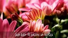 الشيخ الجليل  خالد الجليل وسورة الحجر
