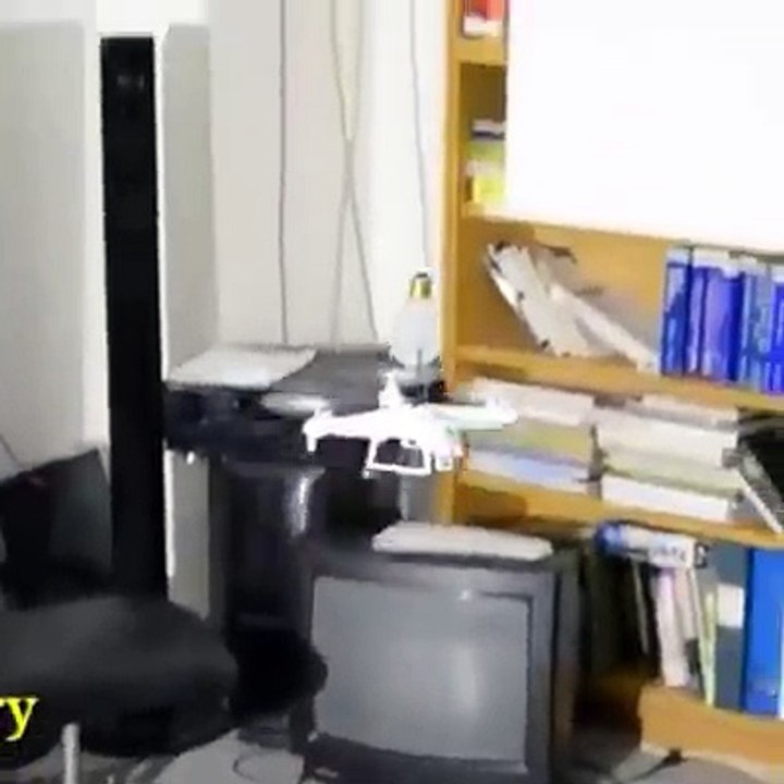 funny video with fun