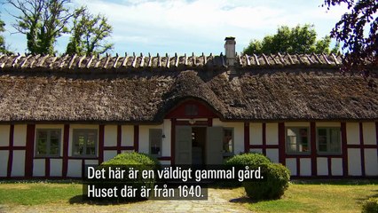 Allt för Sverige 2016 - episode 4/8 - S06E04