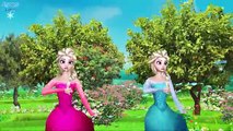 Frozen Rhymes For Children | Finger Family Songs | Frozen Cartoon Nursery Rhymes For Babies