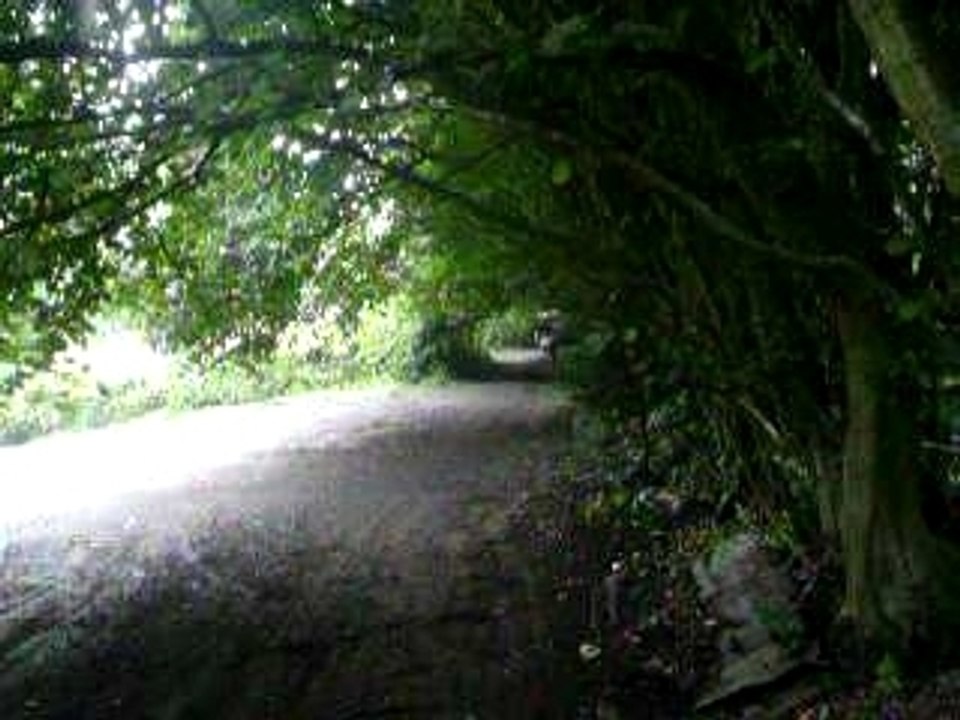 dirt bike viper 140cc