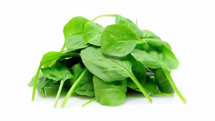 What to Eat to Lose Weight