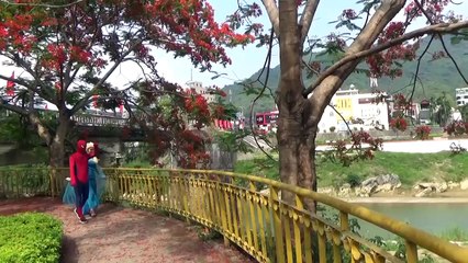 Siêu Nhân Nhện Và Nữ Hoàng Băng Giá Đi Tập Thể Dục Ngoài Công Viên Cùng Mọi Người