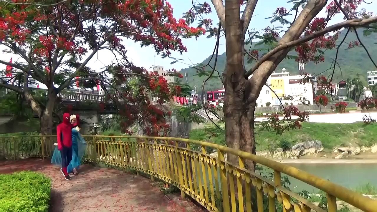 Siêu Nhân Nhện Và Nữ Hoàng Băng Giá Đi Tập Thể Dục Ngoài Công Viên Cùng Mọi Người