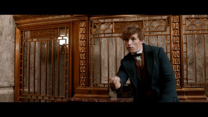 Animales fantásticos y dónde encontrarlos - Cuarto Tráiler Español 4K [Redux]