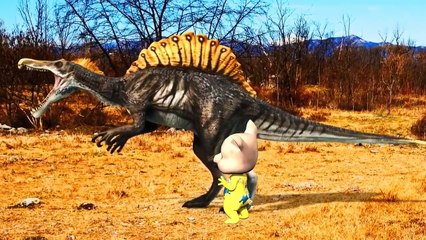 Pig Cartoons For Children | Pig Fight | Dinosaurs 3D Animation | Dinosaurs Movie For Children