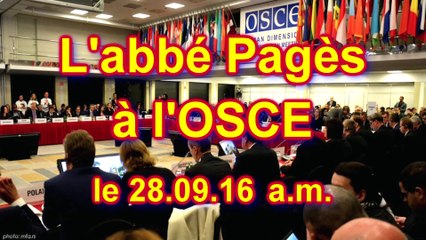 L'égalité de genre l'abbé Pagès et l'islam à l'OSCE le 28 09 16 a m-Vimeo HD