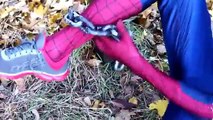 Spiderman vs STAR WARS vs Deadpool! | Superhero Fights and Fun Movie CARTOON Kids