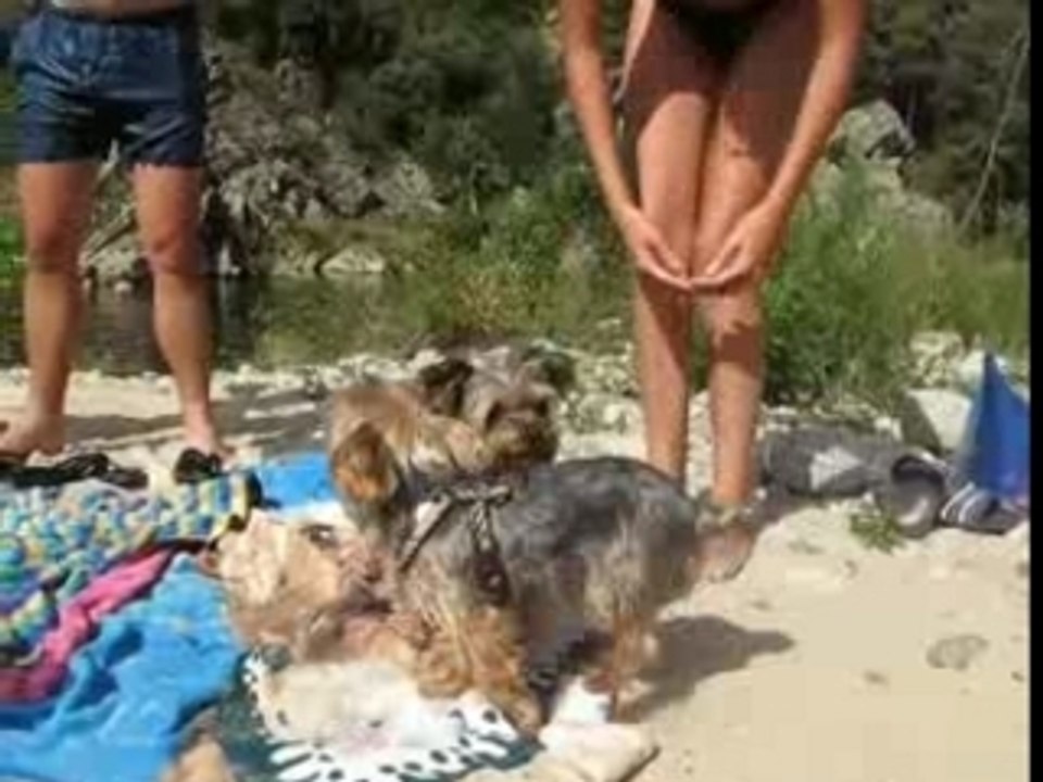 Un peu d education au bord de l eau
