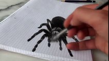 Painting 3D spider-Kids Freak Out at 3D Spider-anamorphic 3D Drawing_2