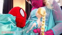 PREGNANT FROZEN ELSA vs PREGNANT PINK SPIDERGIRL vs SPIDERMAN Mermaid Twin Babies Funny Superhero