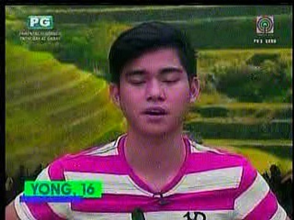 pbb3