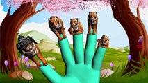 Tiger Finger Family Nursery Rhymes | 3D Animals Cartoon Finger Family Children Nursery Rhymes