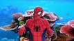 Spiderman Spills Ketchup On Elsas Dress SUMO Battle Fun Superhero Kids In Real Life In 4K