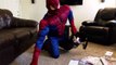 Spiderman VS Joker, Spiderman Cleaning The House! death match -Superheroes Funny Movie In RealLife