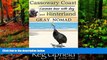 Big Deals  Cassowary Coast Caravan Tour with a Dog (Travel Australia Book 7)  Most Wanted