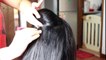 Easy Bridal hairstyle / party hairstyle for long and medium hair / mamta gurung