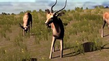 Cartoon Animated Lion vs Gorilla Animal Fight Videos Elephant,Tiger,Cheetah,Eagle Sounds Compilation