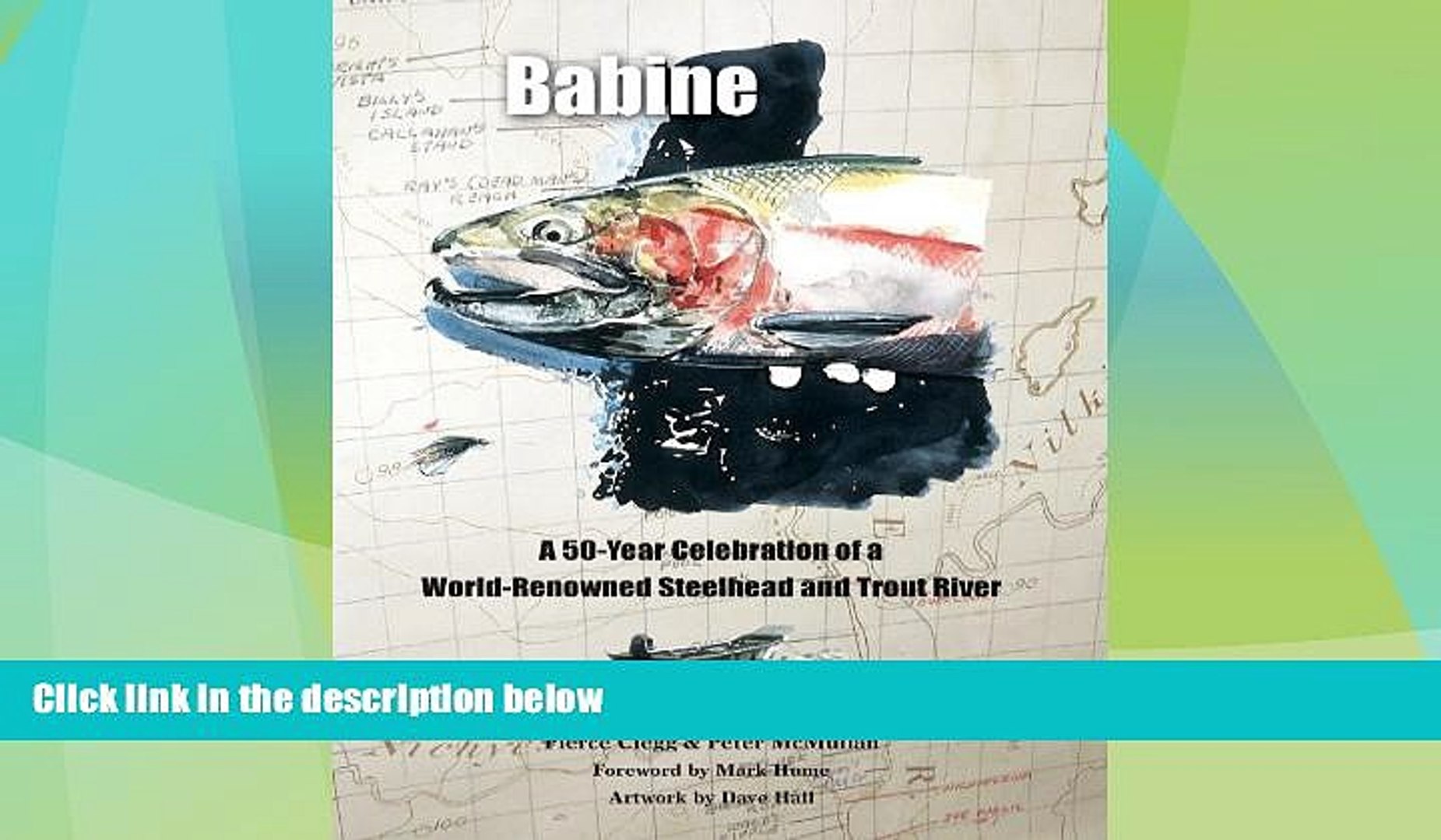 Buy NOW  Babine  Premium Ebooks Best Seller in USA