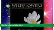 Ebook Best Deals  Wildflowers of Nova Scotia, New Brunswick   Prince Edward Island: Revised and