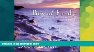 Must Have  Bay of Fundy: A Natural Portrait  Full Ebook