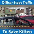 Officer stops traffic to save kitten