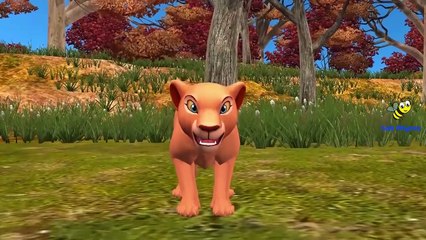 Finger Family Bear Lion Cartoons | Tiger Twinkle Twinkle Little Star Nursery Rhymes for Children