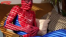 Spiderman Gets Poisoned! Detective Batman is Trying to Find The Villain - Superheroes In Real Life
