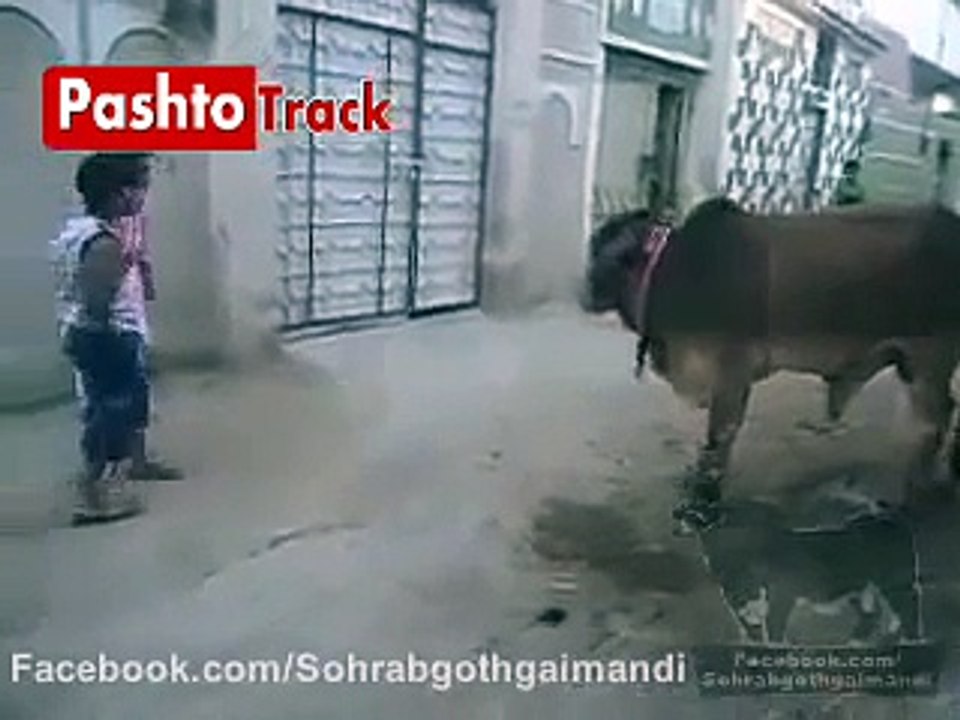Pakistani Kids Funny Clip