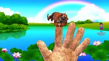 Finger Family Collection Animals Nursery Rhymes | 3D Cartoon Animation Rhymes for Babies