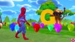 Little SpiderMan Boy ABC Songs For Children | Balloons Popping Show For Kids | Balloon Colors Songs