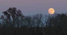 Supermoon Rises in Central New Jersey