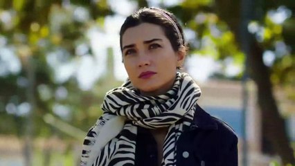 اغنية رومانسية بحبك وانتى عارفه عمر واليف