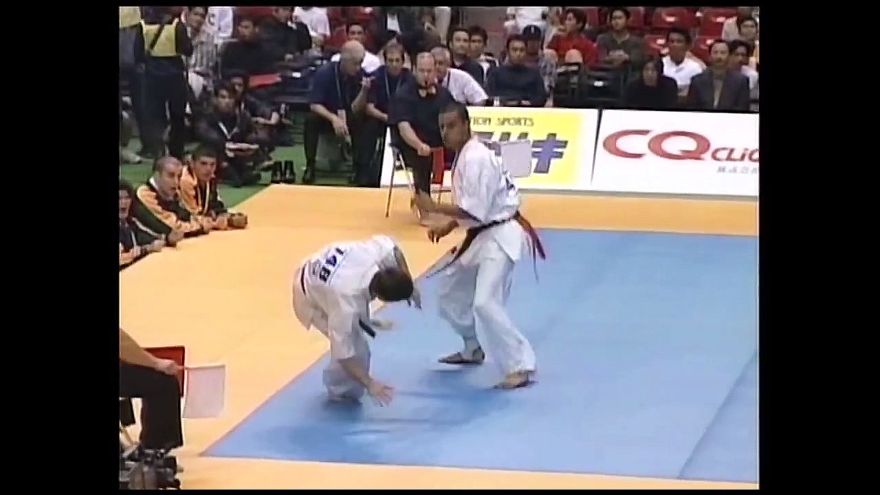 Kyokushin Karate Knockouts