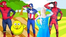 en la radio hay un pollito en español. pollito pio Parodia Spiderman y Elsa. cha Baile oficial