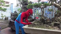 Adhesive Mouse Spiderman and Frozen Elsa, Joker vs Catwomen Pranks Fun Superheroes