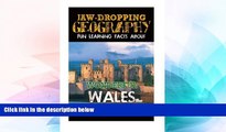 Must Have  Jaw-Dropping Geography: Fun Learning Facts About Wonderful Wales: Illustrated Fun