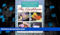 Deals in Books  Reef Fishes Corals and Invertebrates of the Caribbean : A Diver s Guide  Premium