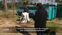 Itsas Arima participe à l'émission Txirrita de France3