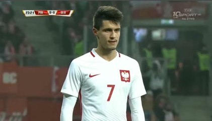 Poland 1-1 Slovenia - All Goals Exclusive - (14/11/2016) / FRIENDLY MATCH
