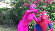 Spiderman vs Frozen Elsa vs Joker vs Evil Shadow w Bubble Gum Candy Funny Superheroes