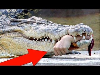 Vahşi Doğadaki En Ünlü 8 İnsan Katili