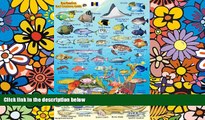 Ebook deals  Barbados Reef Creatures Guide Franko Maps Laminated Fish Card 4