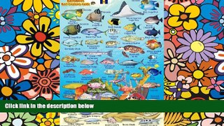 Ebook deals  Barbados Reef Creatures Guide Franko Maps Laminated Fish Card 4