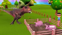 T-Rex Dinosaur Finger Family Rhymes | Mega Dinosaur Short Film | Big Dinosaurs Movies For Children